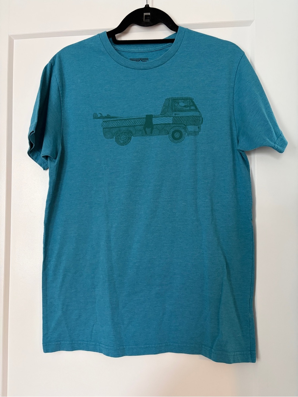 Patagonia graphic tee